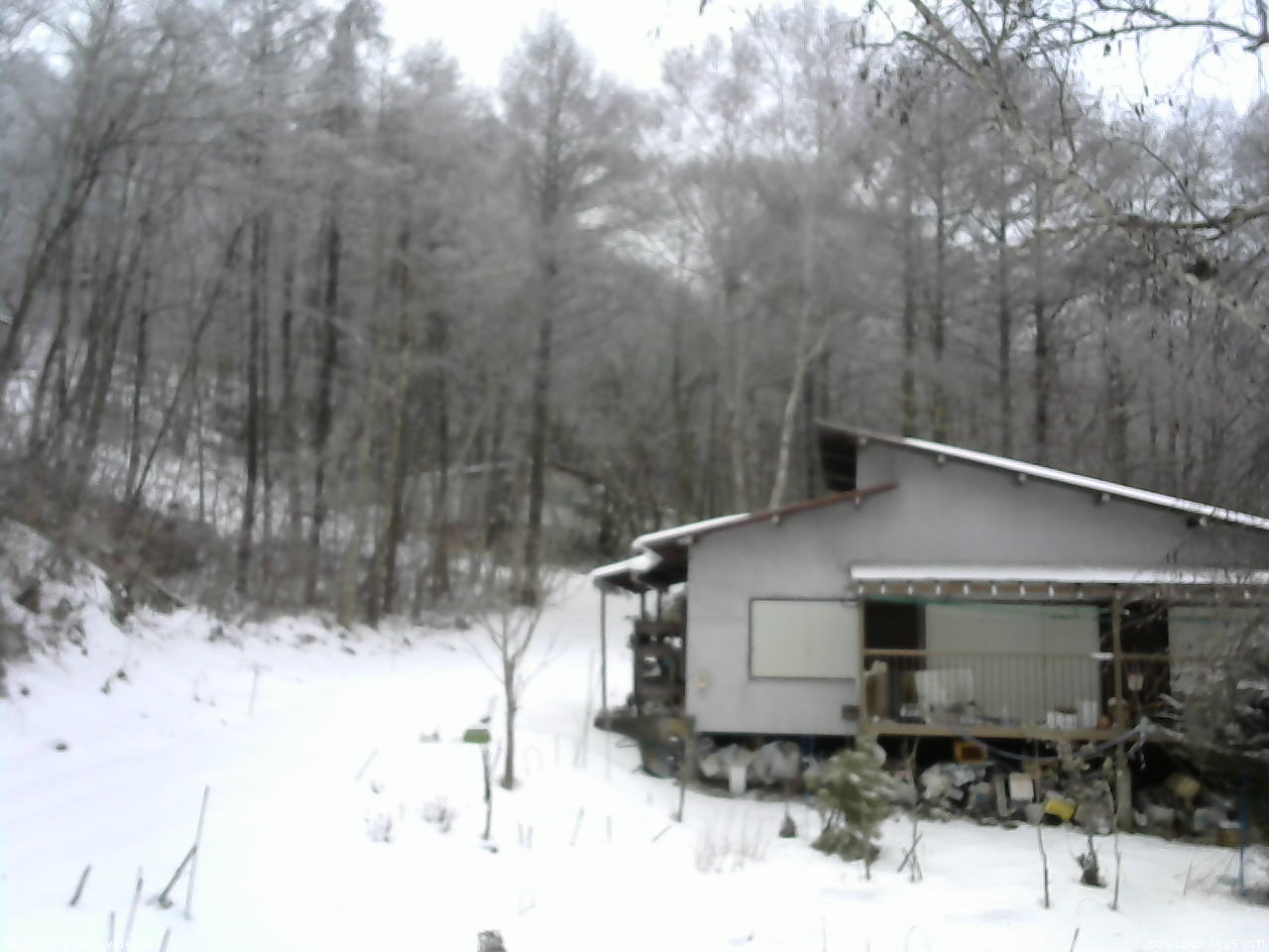 長野県菅平高原 ゆたか山荘 西側(坂上) 2025/12/22 14:15