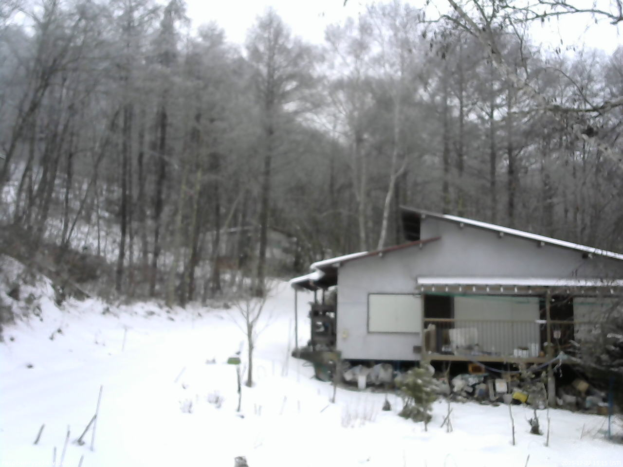 長野県菅平高原 ゆたか山荘 西側(坂上) 2025/12/22 15:15