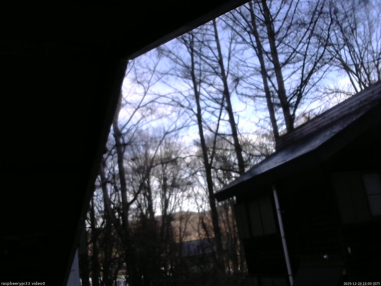 長野県菅平高原 ゆたか山荘 北側 2025/12/23 15:00