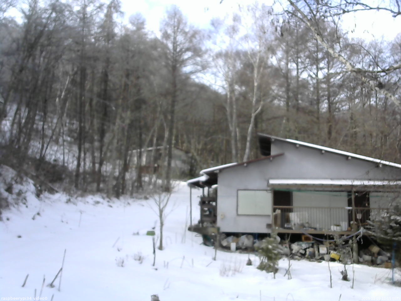 長野県菅平高原 ゆたか山荘 西側(坂上) 2025/12/23 11:15
