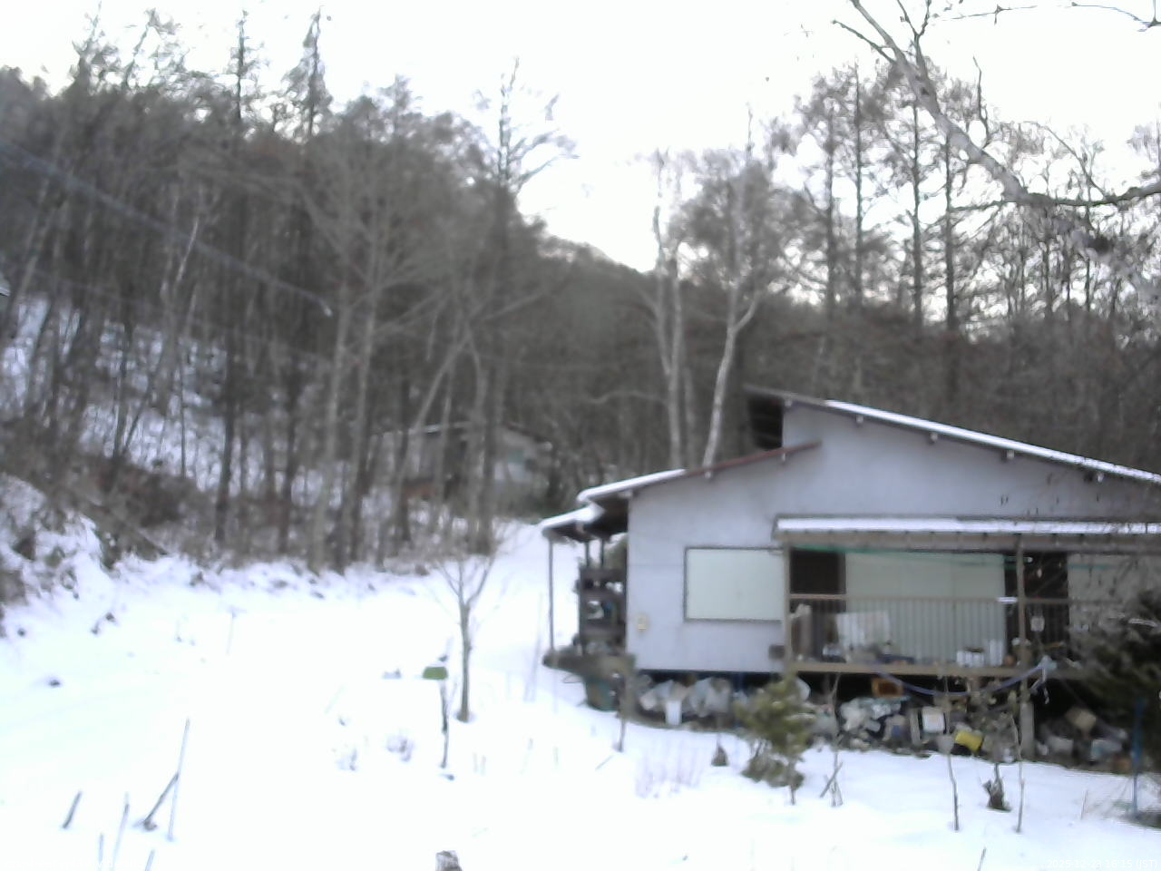 長野県菅平高原 ゆたか山荘 西側(坂上) 2025/12/23 16:15