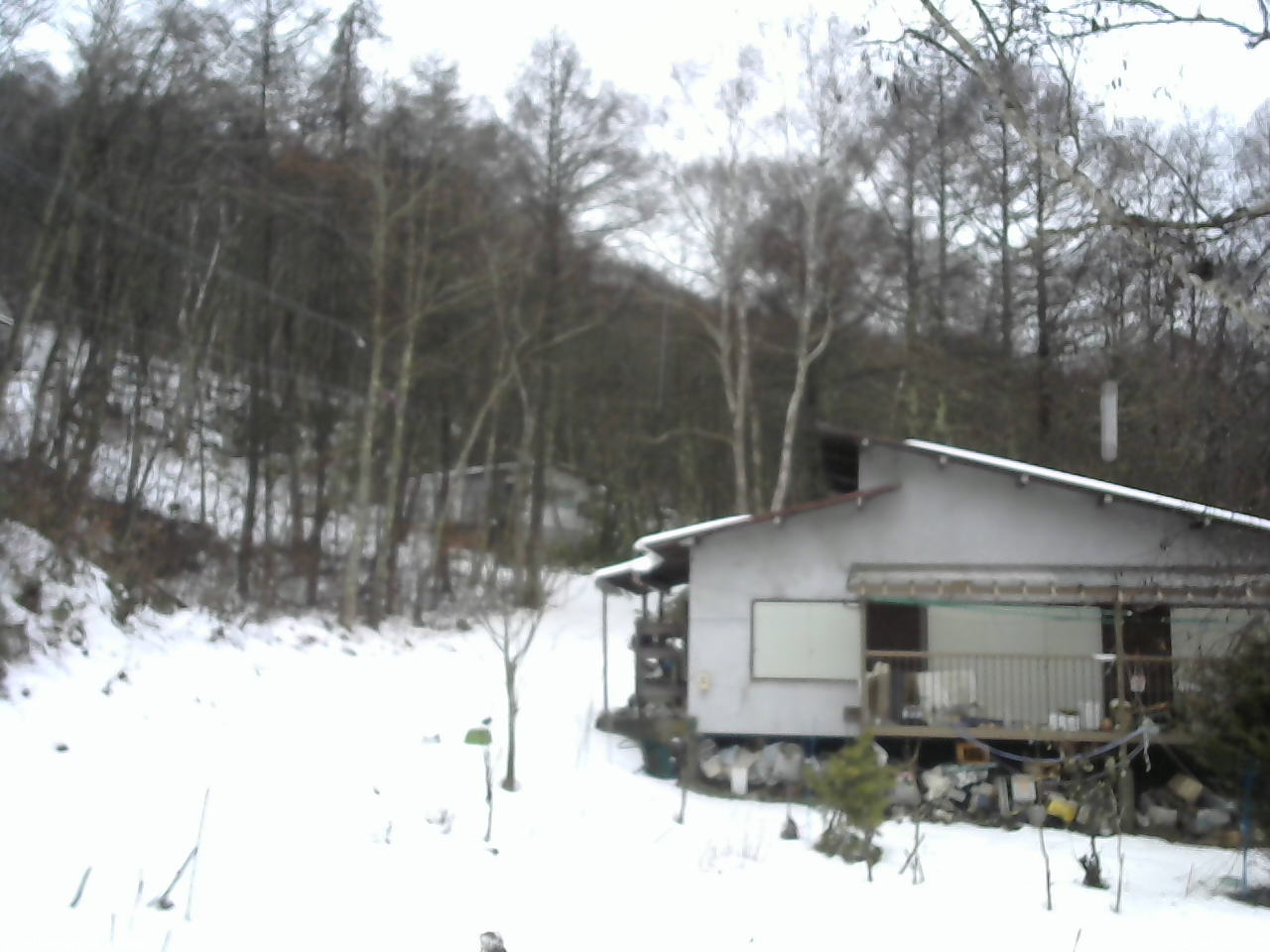 長野県菅平高原 ゆたか山荘 西側(坂上) 2025/12/24 07:45