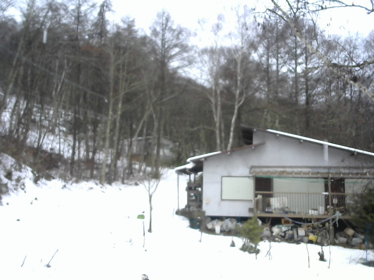 長野県菅平高原 ゆたか山荘 西側(坂上) 2025/12/24 08:00
