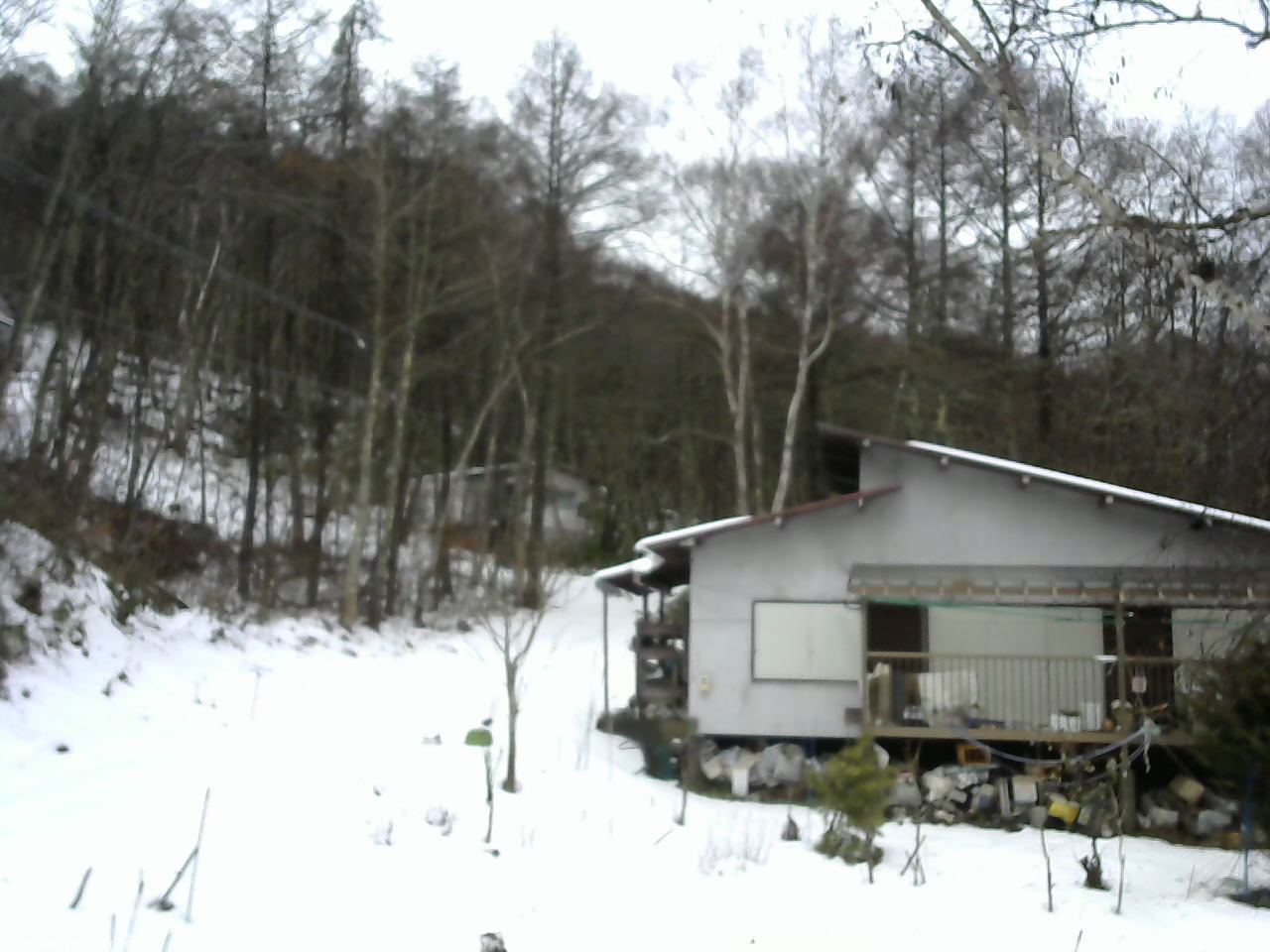 長野県菅平高原 ゆたか山荘 西側(坂上) 2025/12/24 10:15