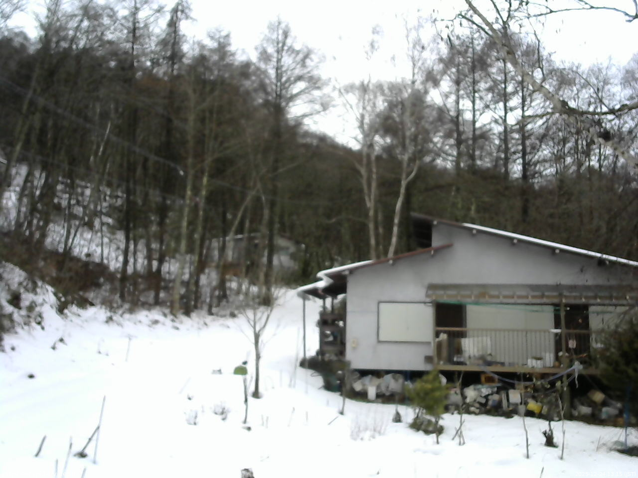 長野県菅平高原 ゆたか山荘 西側(坂上) 2025/12/24 13:15