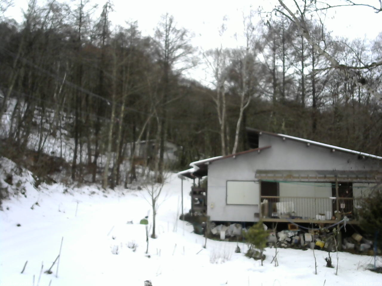 長野県菅平高原 ゆたか山荘 西側(坂上) 2025/12/24 13:30
