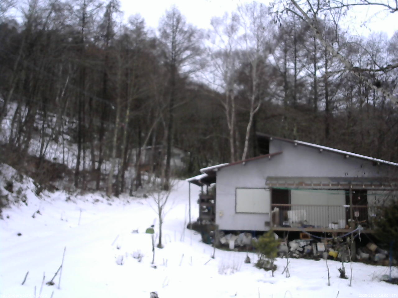 長野県菅平高原 ゆたか山荘 西側(坂上) 2025/12/24 16:00