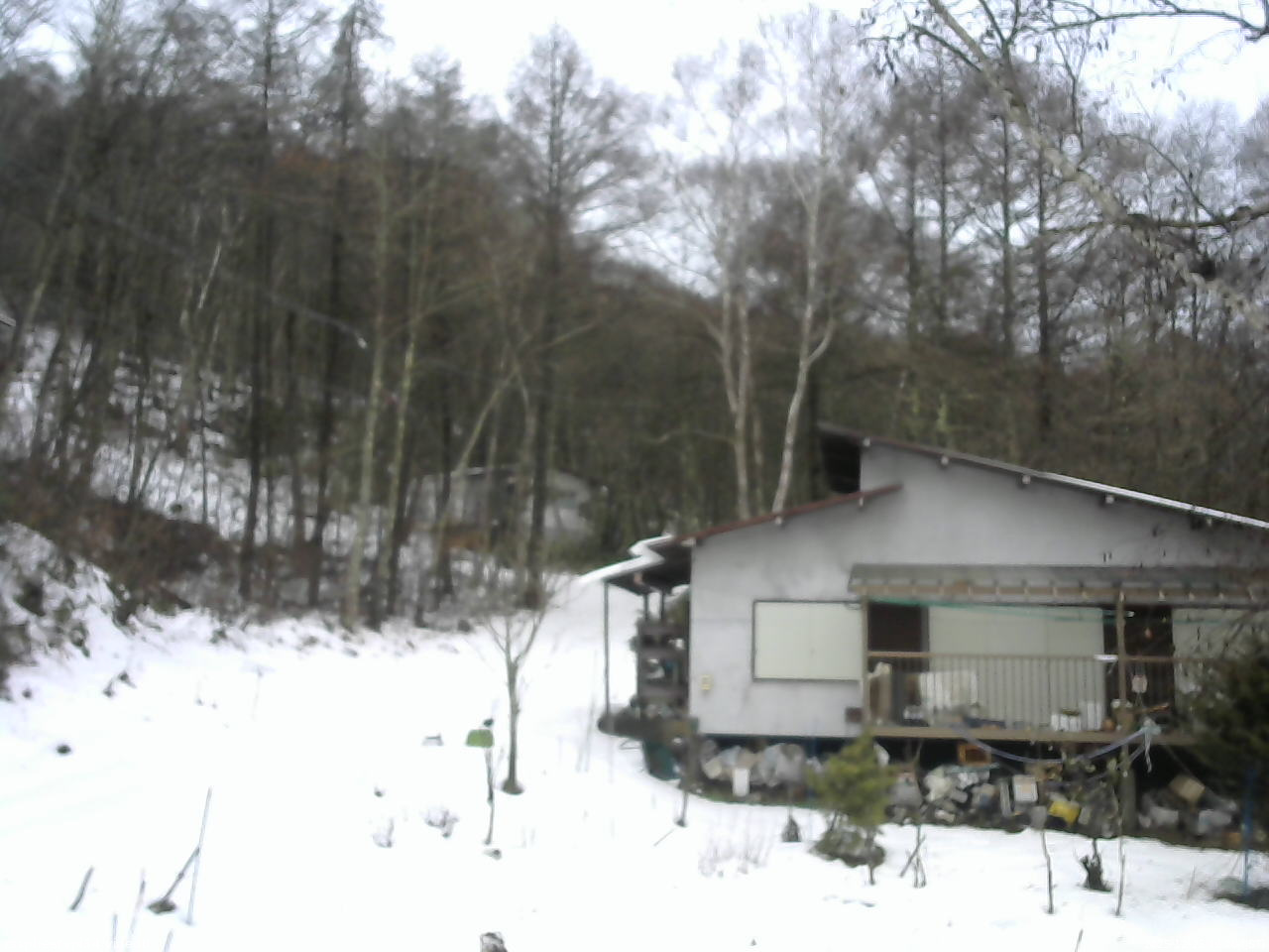 長野県菅平高原 ゆたか山荘 西側(坂上) 2025/12/25 09:00
