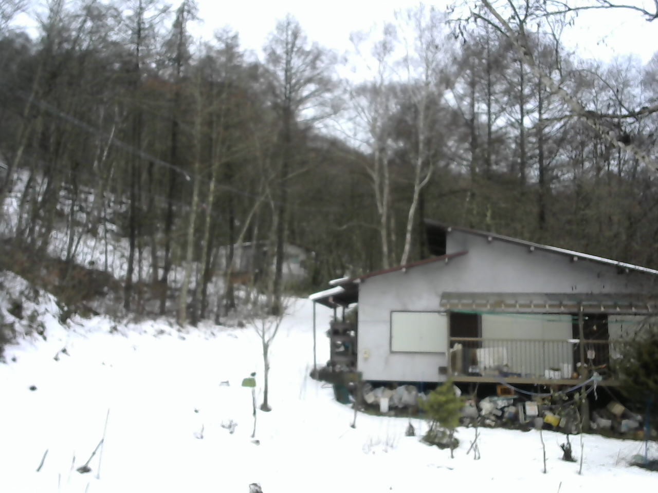 長野県菅平高原 ゆたか山荘 西側(坂上) 2025/12/25 09:30