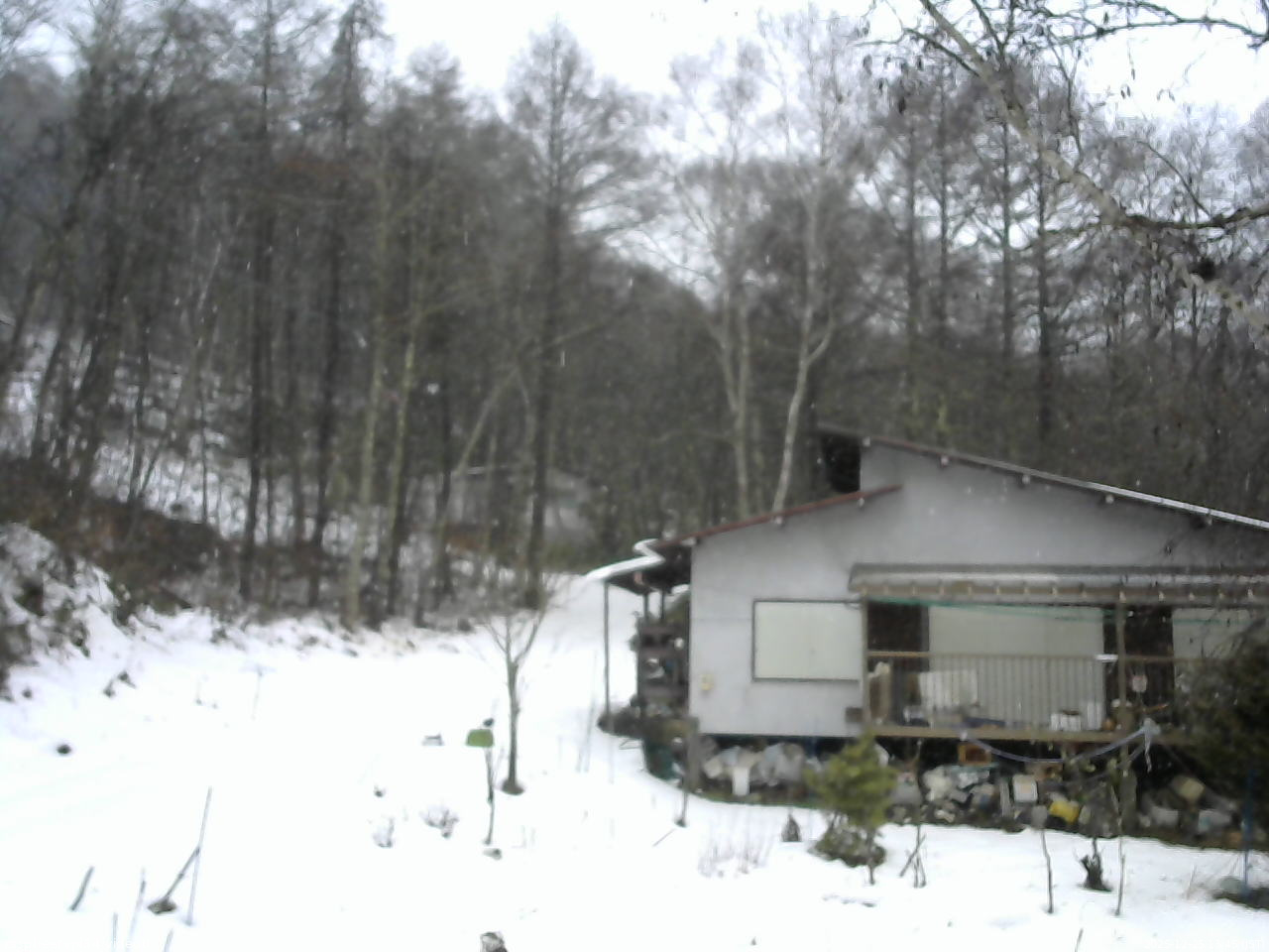 長野県菅平高原 ゆたか山荘 西側(坂上) 2025/12/25 13:45