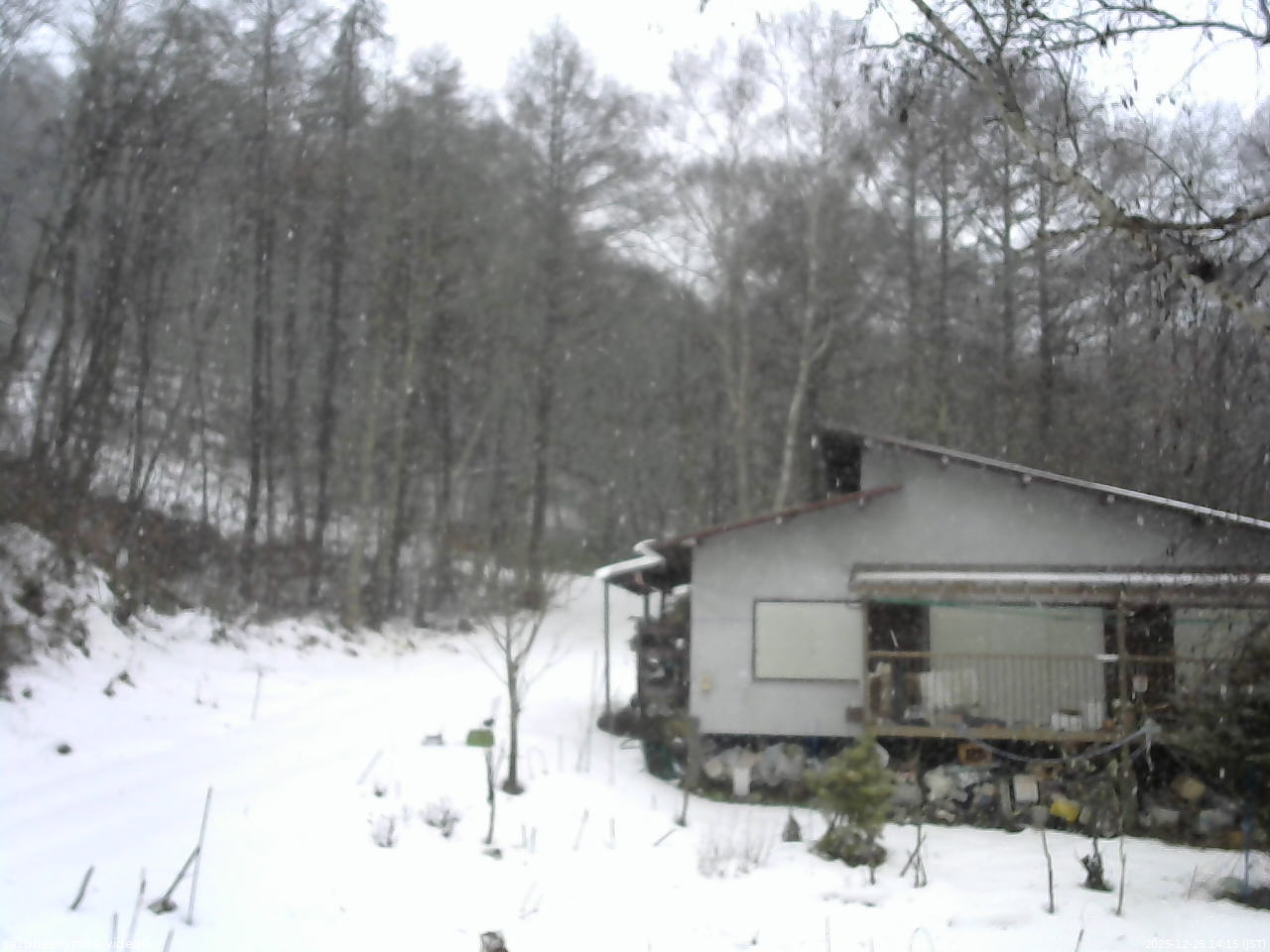 長野県菅平高原 ゆたか山荘 西側(坂上) 2025/12/25 14:15