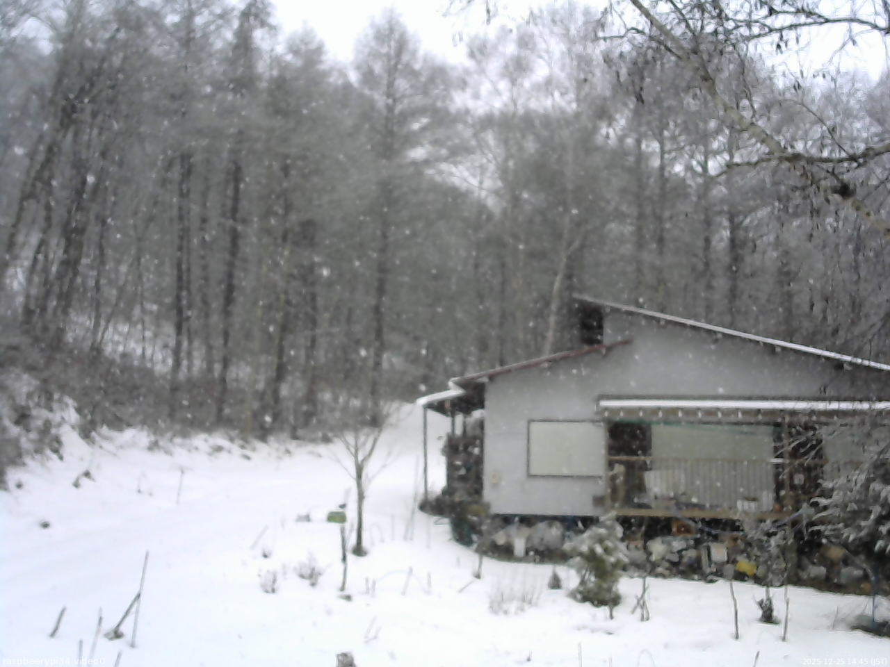 長野県菅平高原 ゆたか山荘 西側(坂上) 2025/12/25 14:45