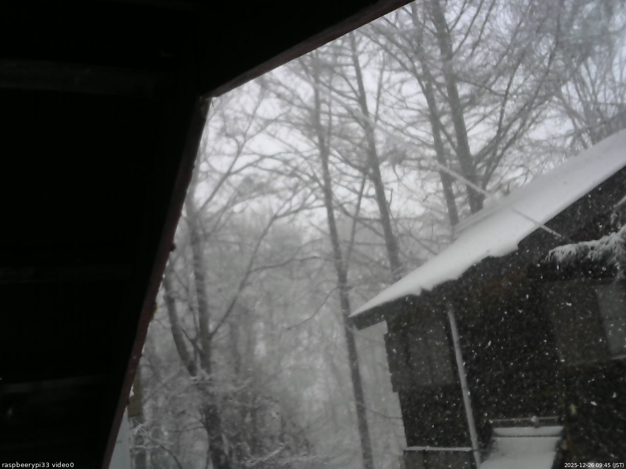 長野県菅平高原 ゆたか山荘 北側 2025/12/26 09:45