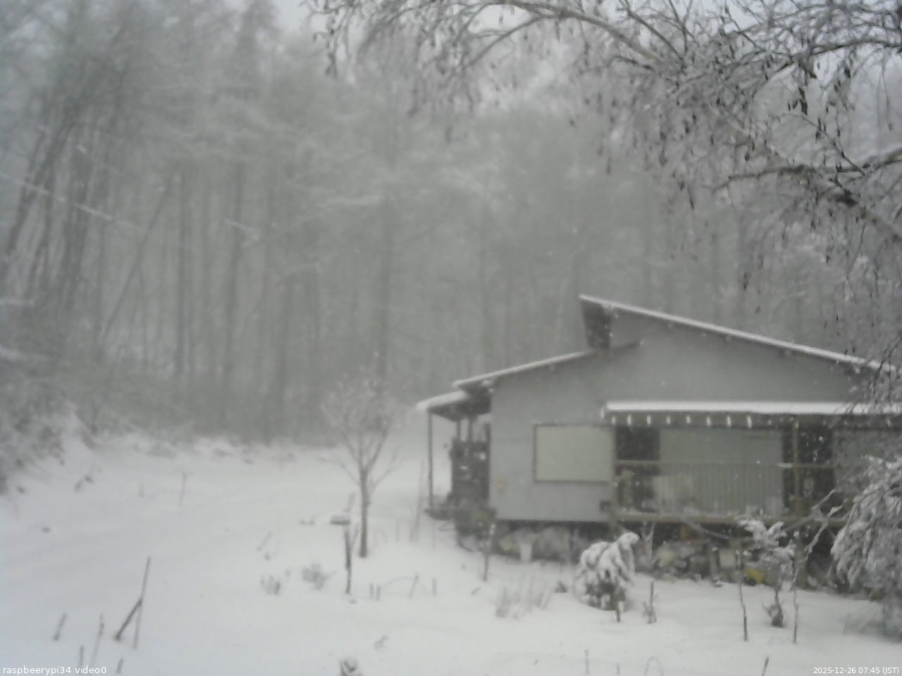 長野県菅平高原 ゆたか山荘 西側(坂上) 2025/12/26 07:45
