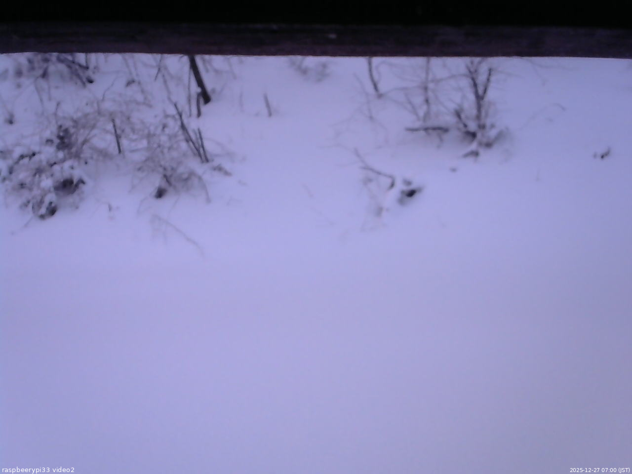 長野県菅平高原 ゆたか山荘 南側 2025/12/27 07:00
