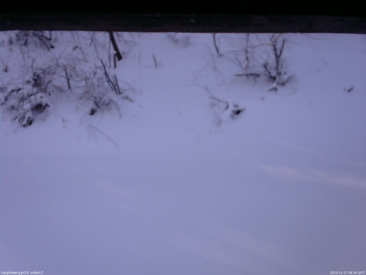 長野県菅平高原 ゆたか山荘 南側 2025/12/27 08:30