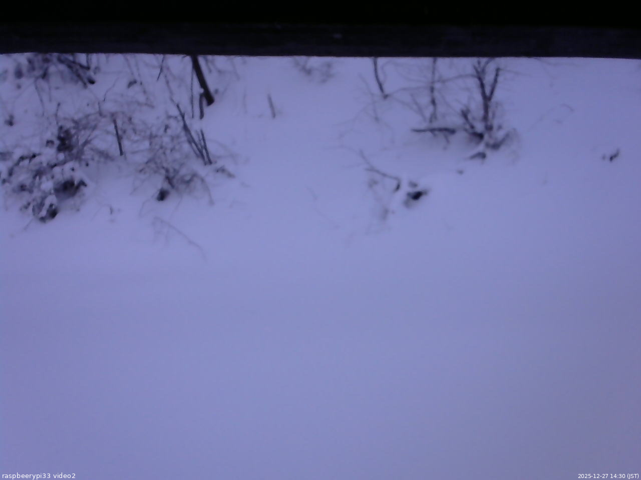 長野県菅平高原 ゆたか山荘 南側 2025/12/27 14:30