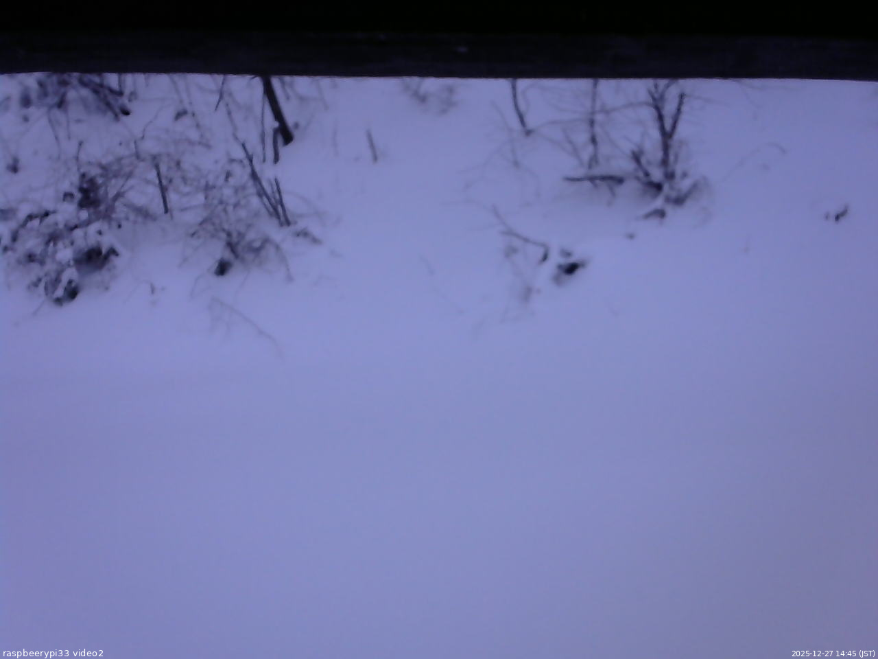 長野県菅平高原 ゆたか山荘 南側 2025/12/27 14:45