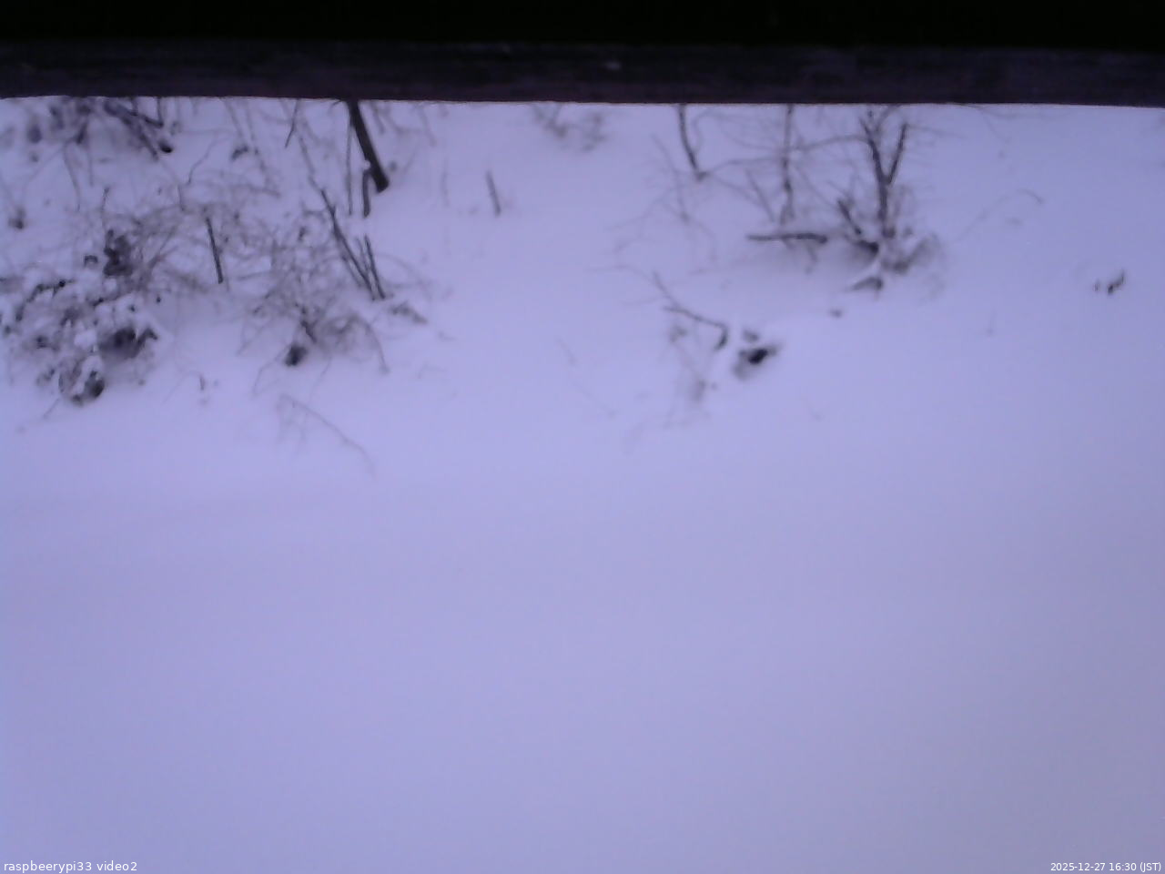 長野県菅平高原 ゆたか山荘 南側 2025/12/27 16:30