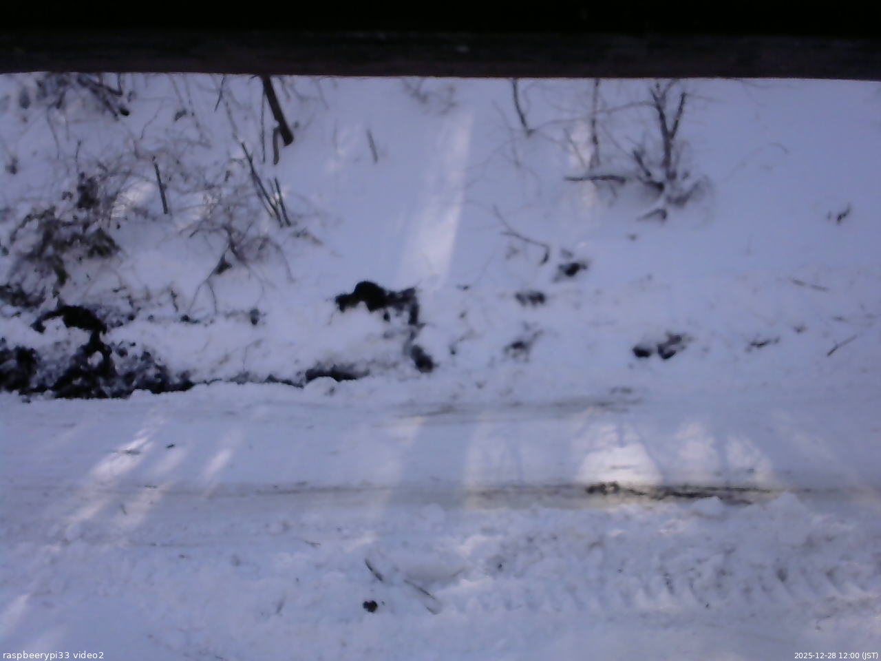 長野県菅平高原 ゆたか山荘 南側 2025/12/28 12:00