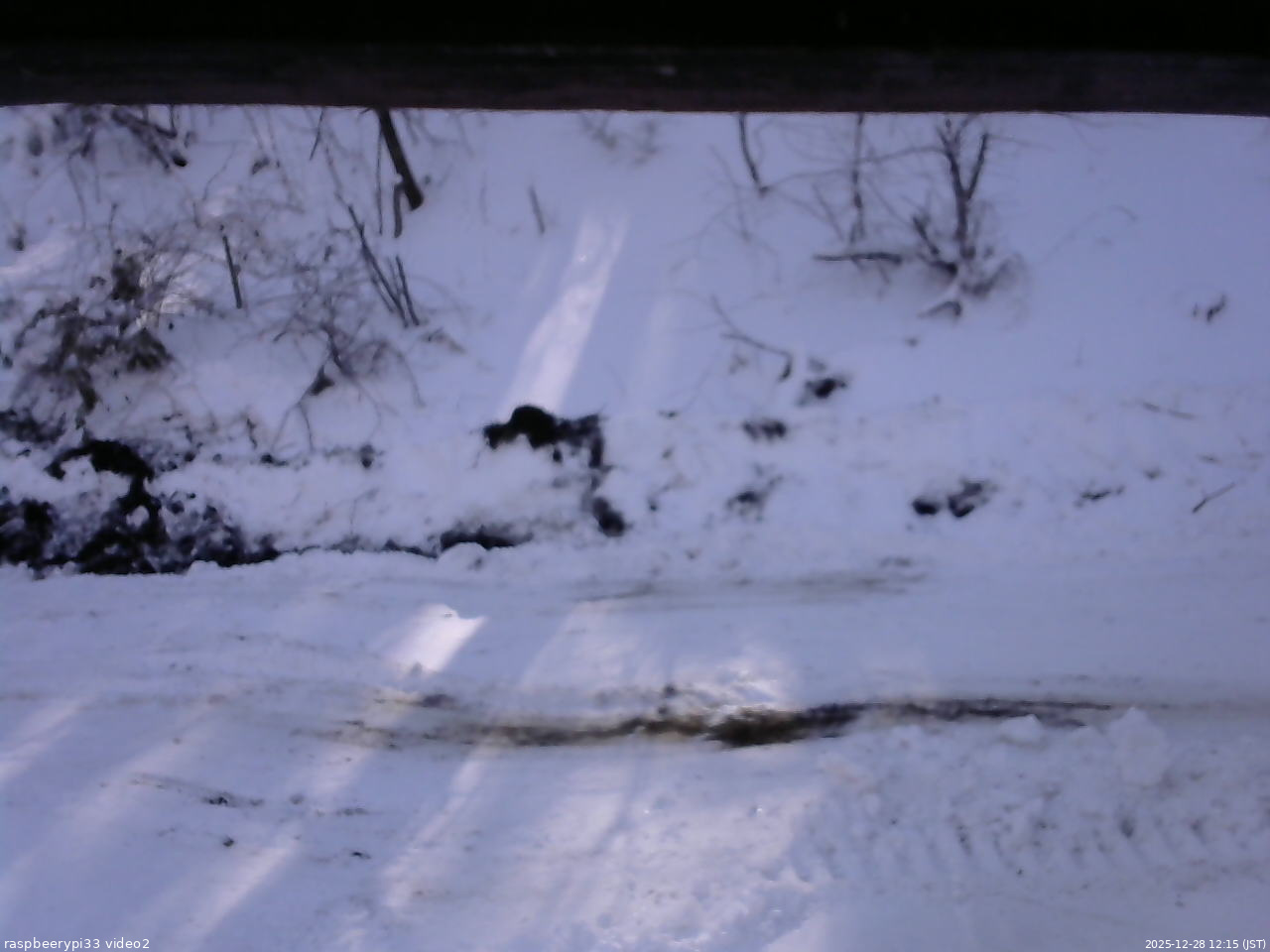 長野県菅平高原 ゆたか山荘 南側 2025/12/28 12:15