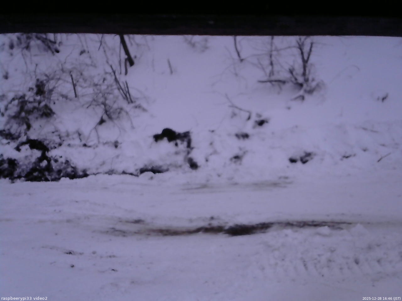 長野県菅平高原 ゆたか山荘 南側 2025/12/28 16:45