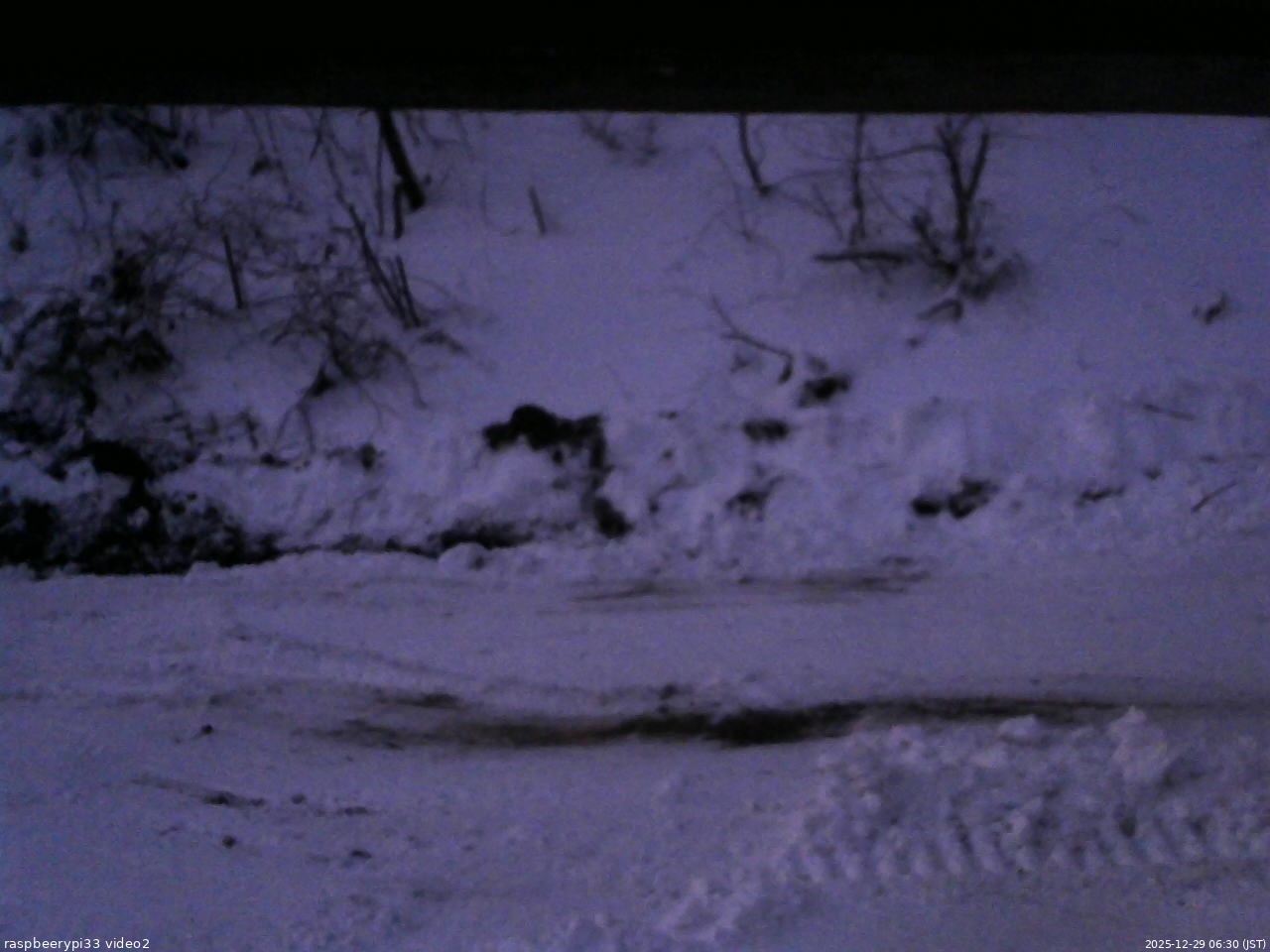 長野県菅平高原 ゆたか山荘 南側 2025/12/29 06:30