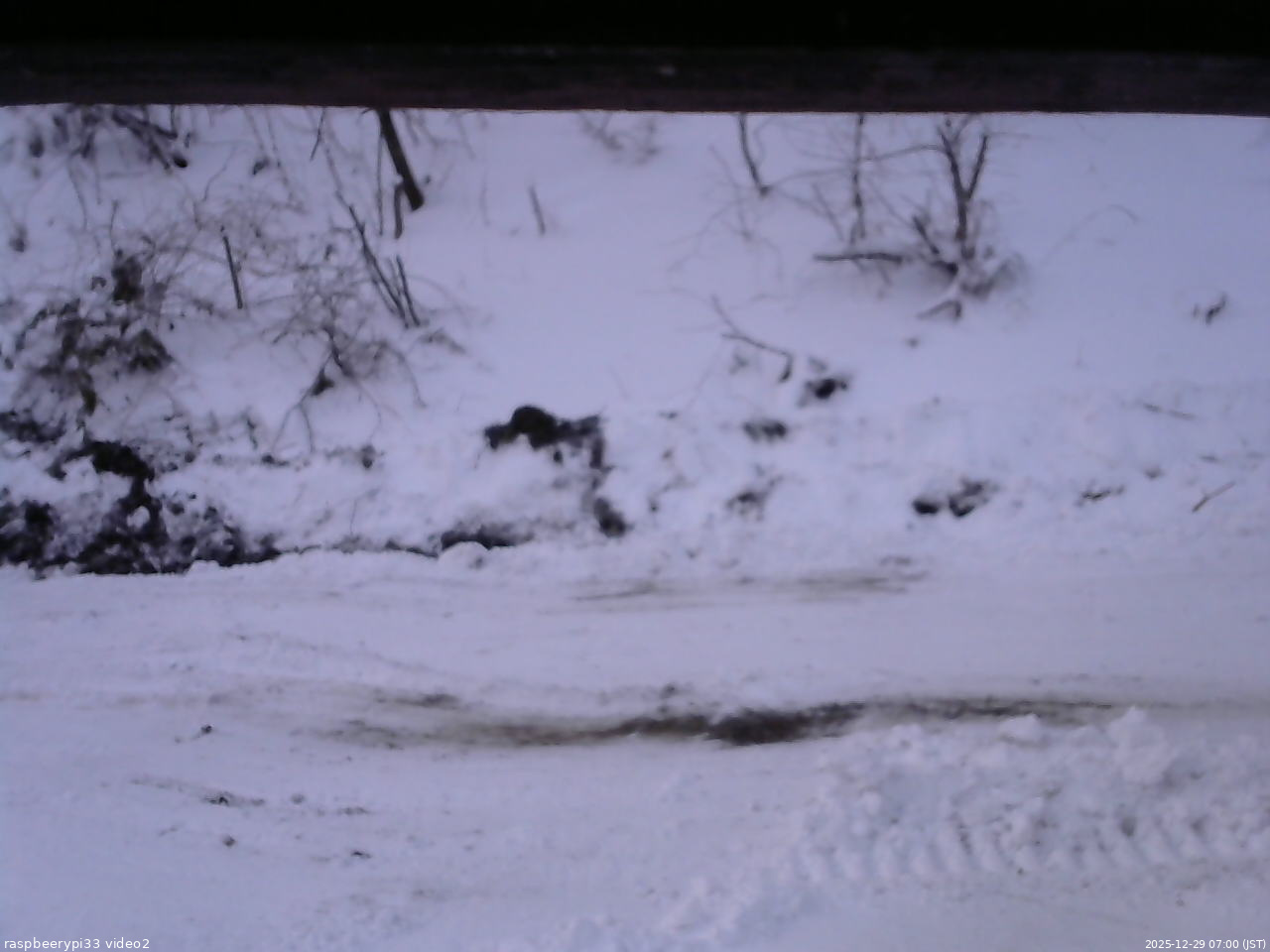 長野県菅平高原 ゆたか山荘 南側 2025/12/29 07:00