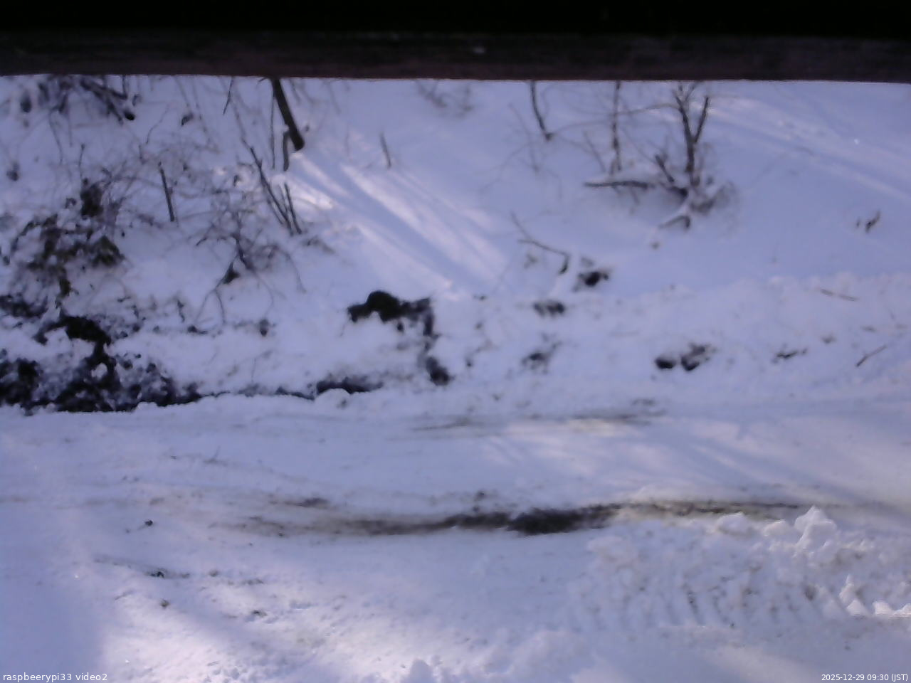 長野県菅平高原 ゆたか山荘 南側 2025/12/29 09:30