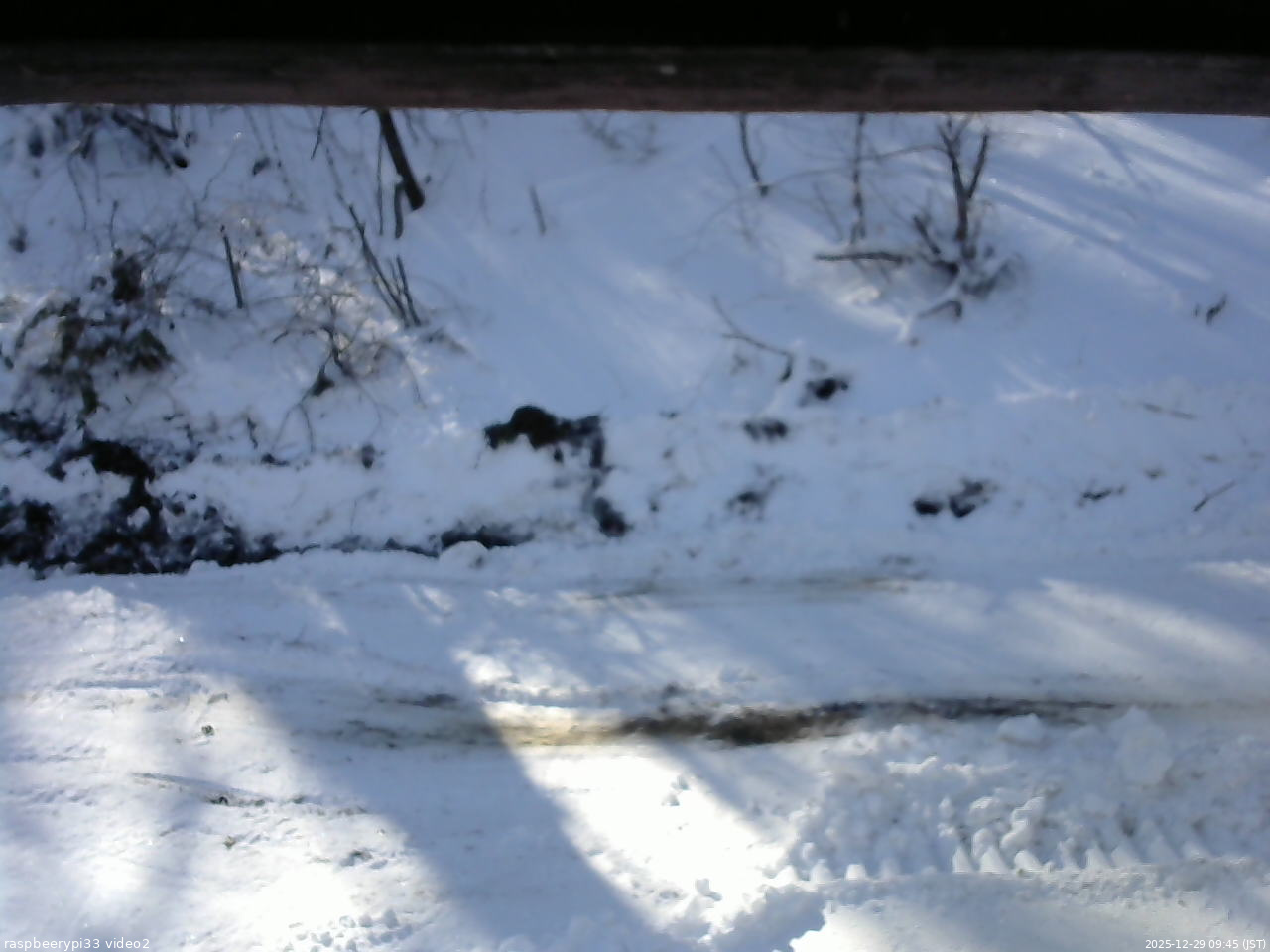 長野県菅平高原 ゆたか山荘 南側 2025/12/29 09:45