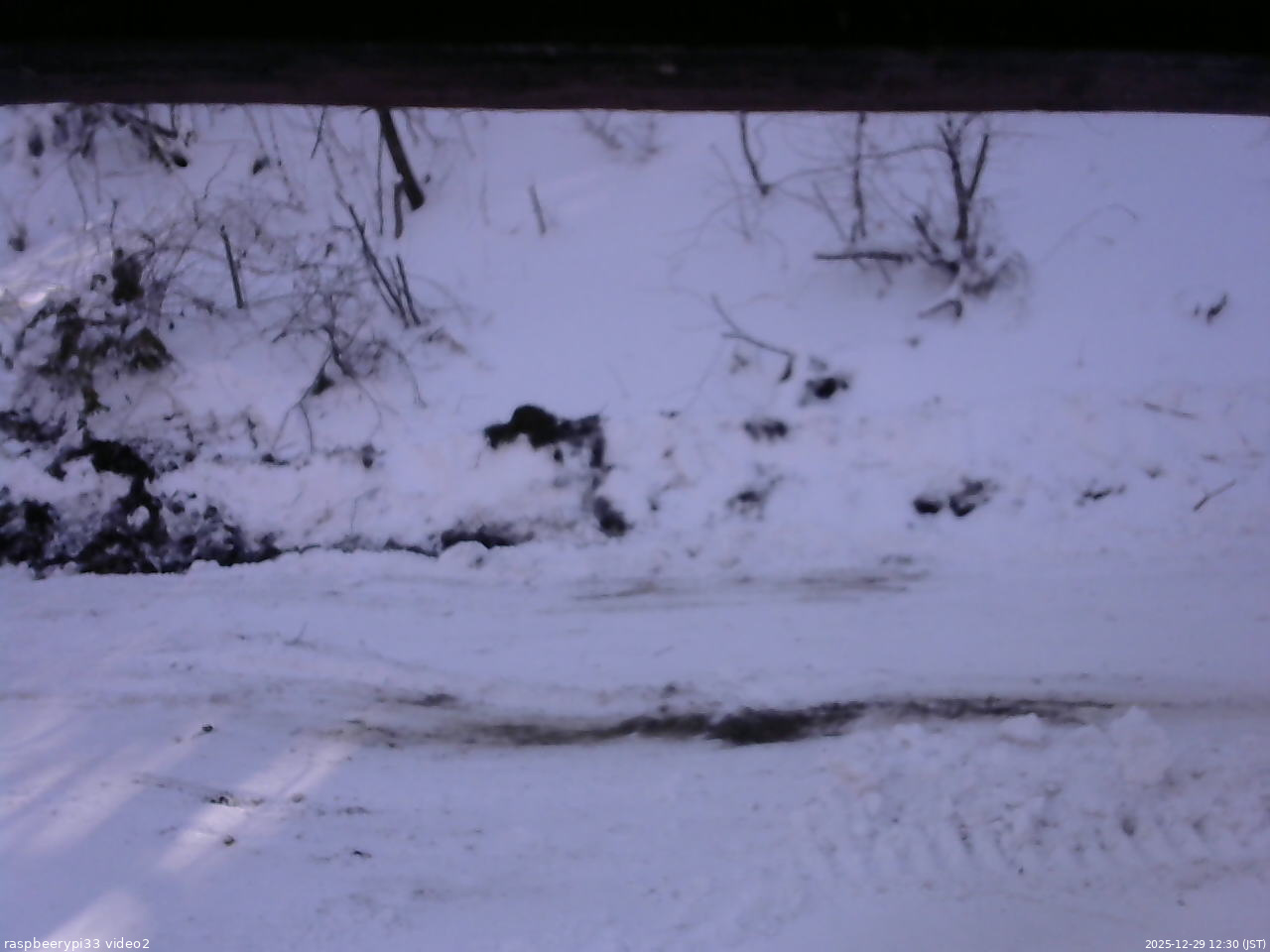 長野県菅平高原 ゆたか山荘 南側 2025/12/29 12:30