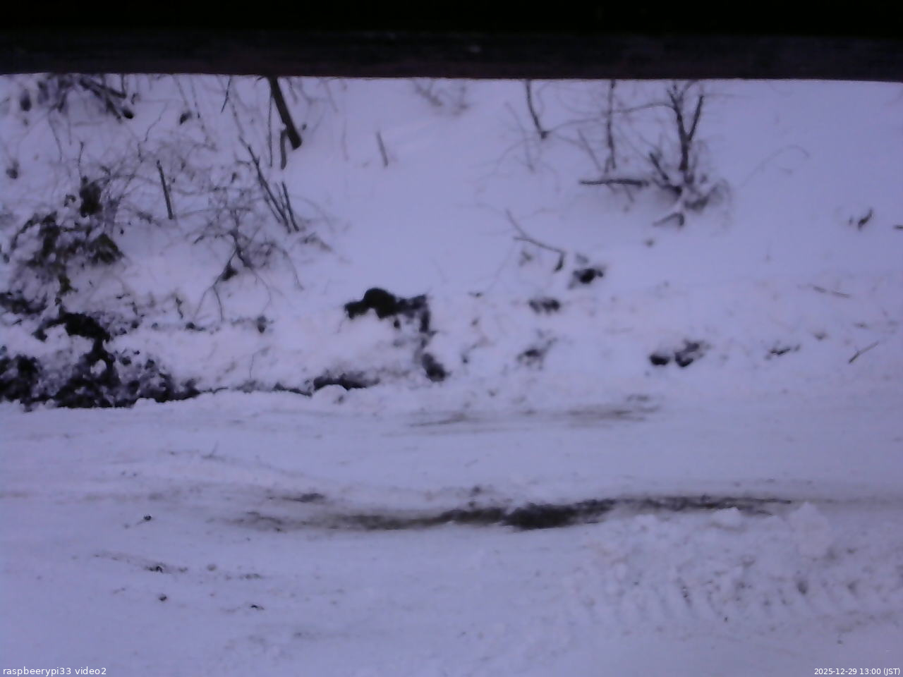長野県菅平高原 ゆたか山荘 南側 2025/12/29 13:00