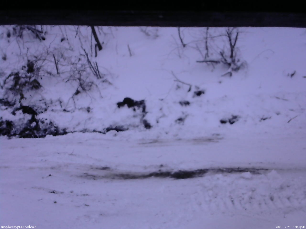 長野県菅平高原 ゆたか山荘 南側 2025/12/29 15:30