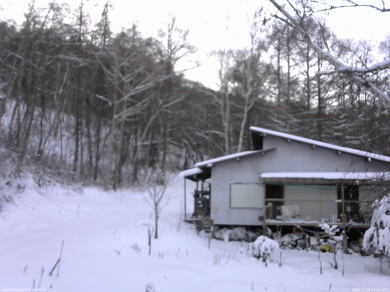 長野県菅平高原 ゆたか山荘 西側(坂上) 2025/12/29 16:00
