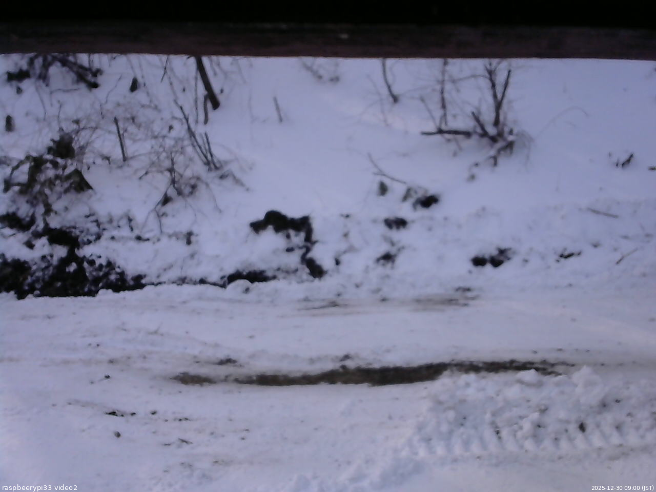 長野県菅平高原 ゆたか山荘 南側 2025/12/30 09:00