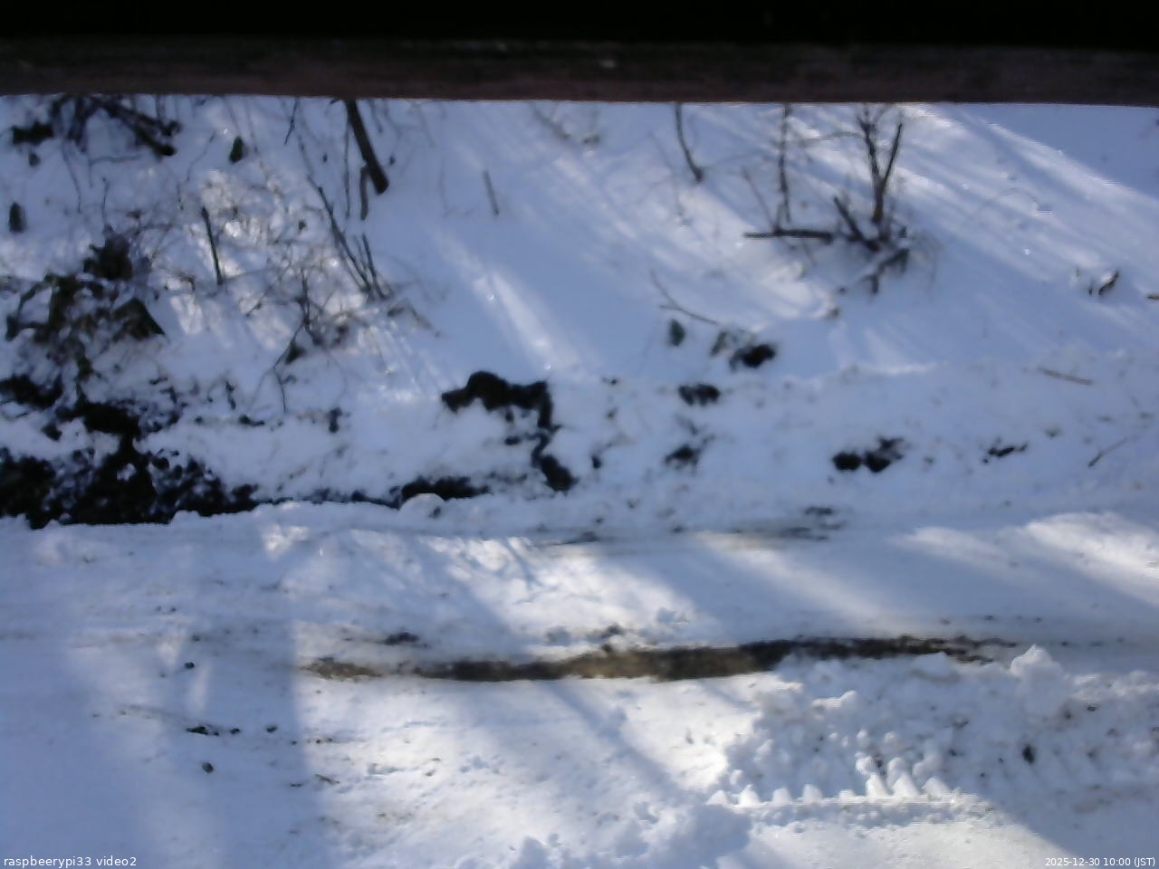長野県菅平高原 ゆたか山荘 南側 2025/12/30 10:00