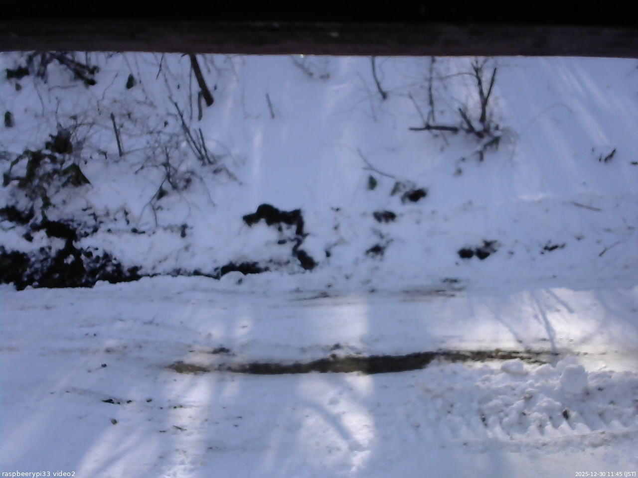 長野県菅平高原 ゆたか山荘 南側 2025/12/30 11:45