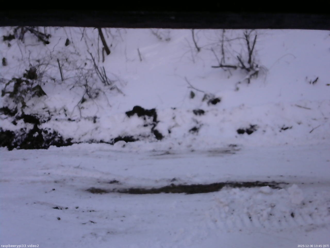 長野県菅平高原 ゆたか山荘 南側 2025/12/30 13:45