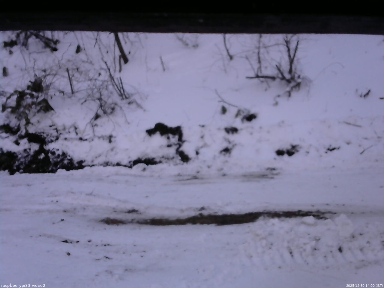 長野県菅平高原 ゆたか山荘 南側 2025/12/30 14:00