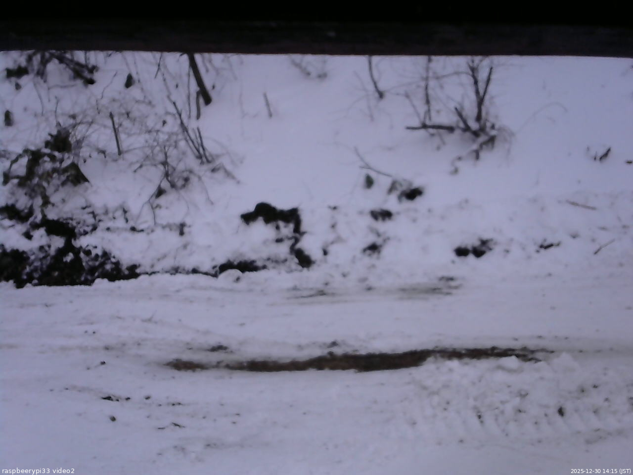 長野県菅平高原 ゆたか山荘 南側 2025/12/30 14:15