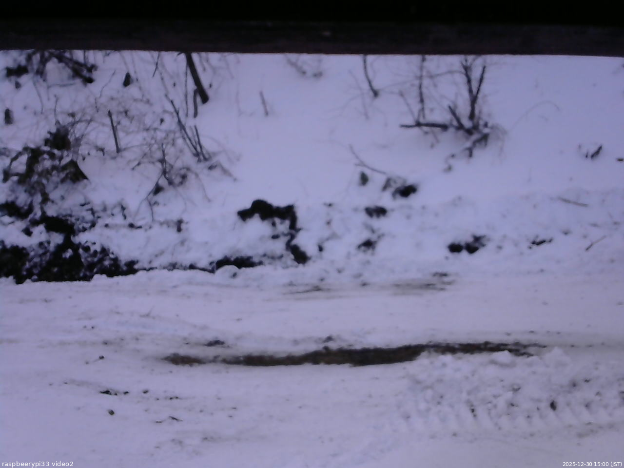 長野県菅平高原 ゆたか山荘 南側 2025/12/30 15:00
