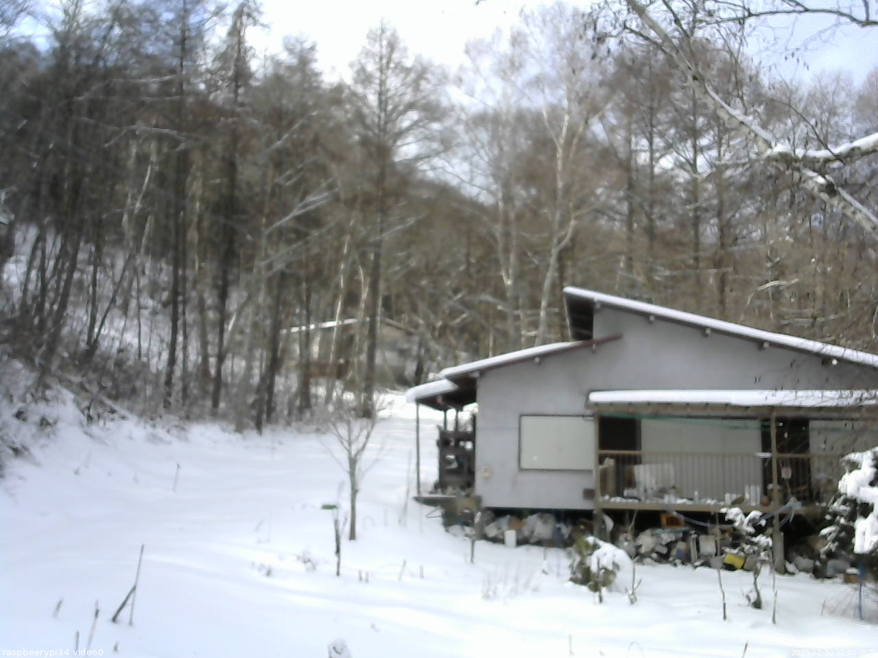 長野県菅平高原 ゆたか山荘 西側(坂上) 2025/12/30 12:00