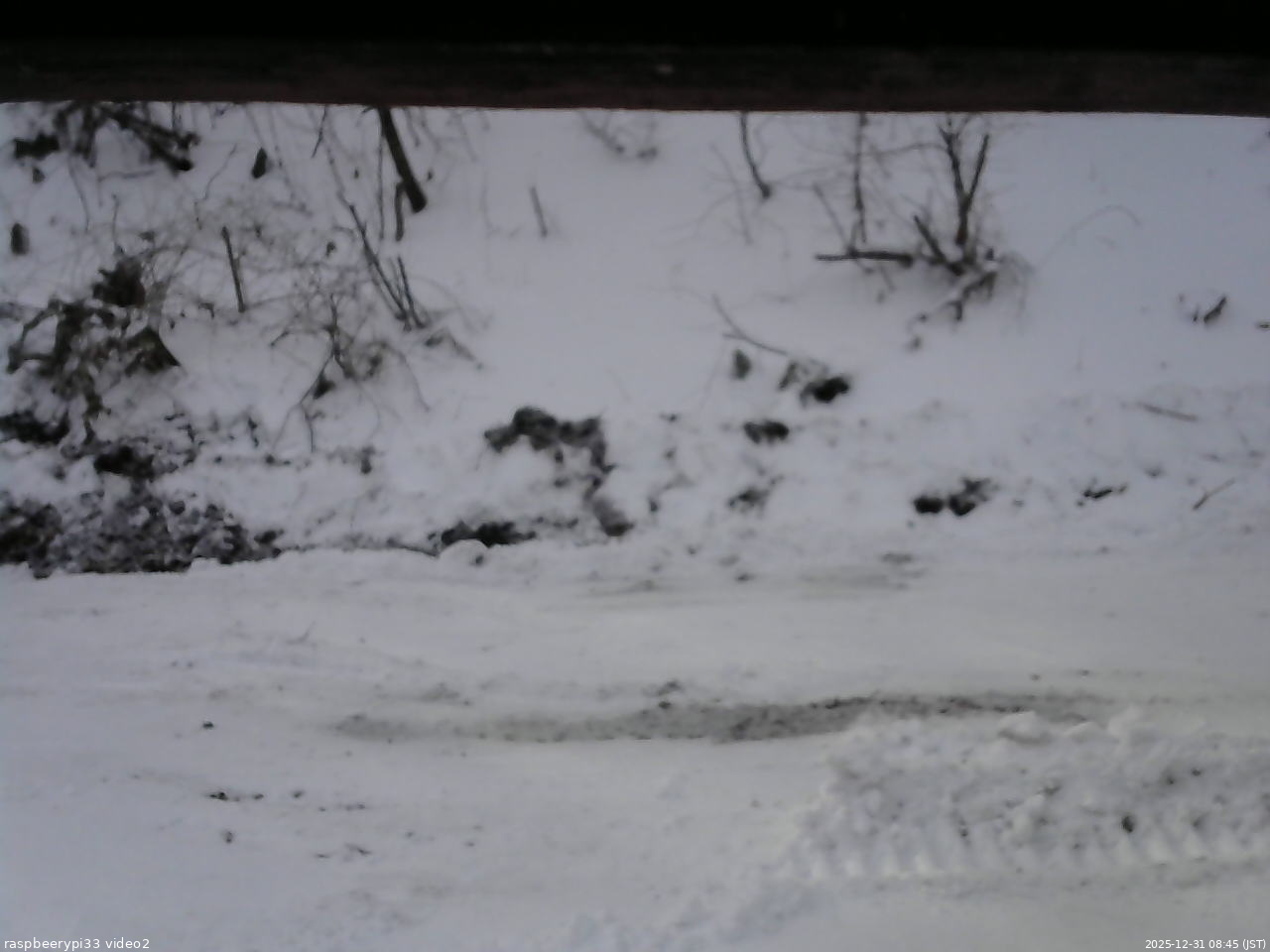 長野県菅平高原 ゆたか山荘 南側 2025/12/31 08:45