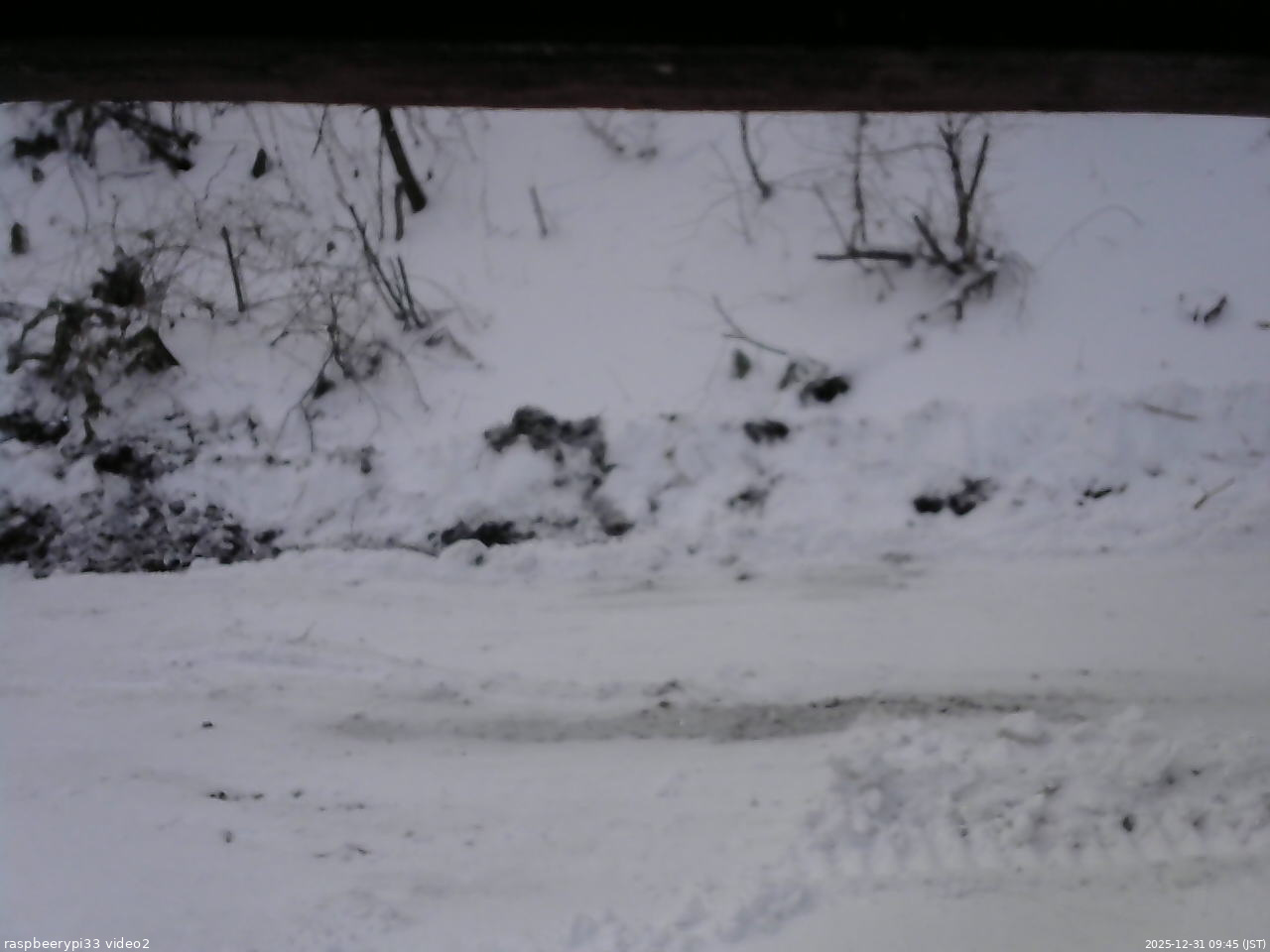 長野県菅平高原 ゆたか山荘 南側 2025/12/31 09:45