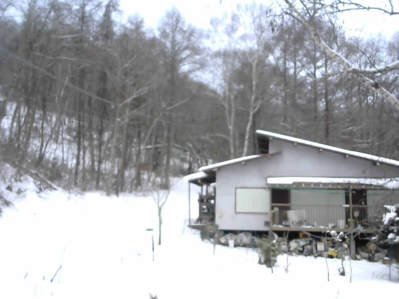 長野県菅平高原 ゆたか山荘 西側(坂上) 2026/01/01 07:30