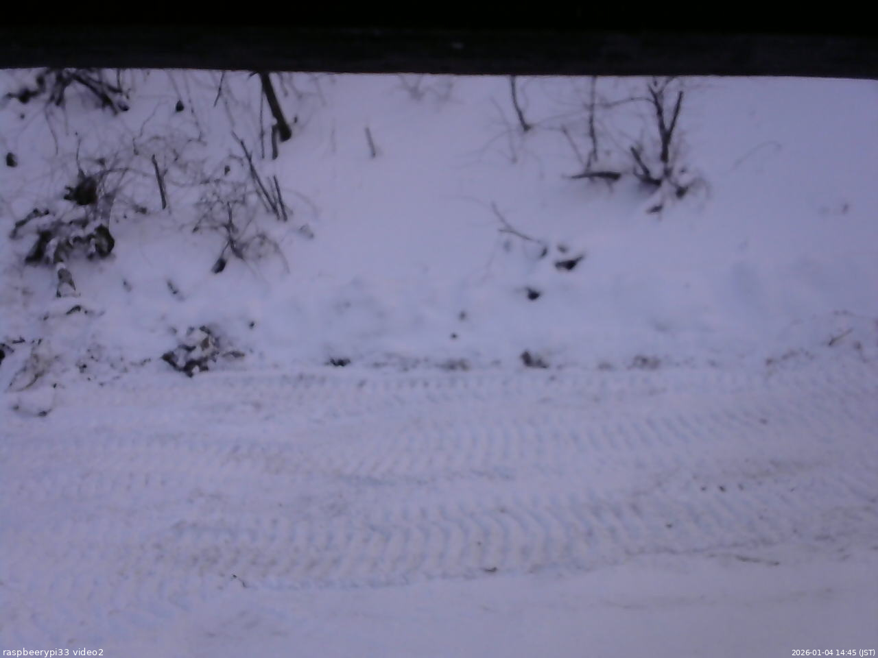 長野県菅平高原 ゆたか山荘 南側 2026/01/04 14:45