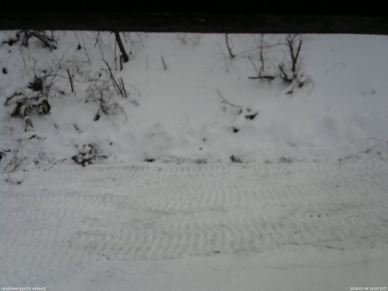 長野県菅平高原 ゆたか山荘 南側 2026/01/04 16:00