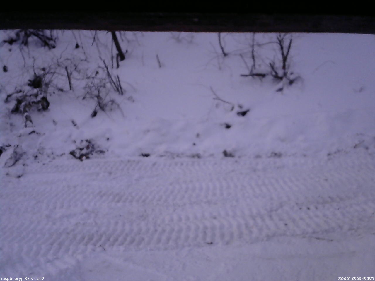 長野県菅平高原 ゆたか山荘 南側 2026/01/05 06:45