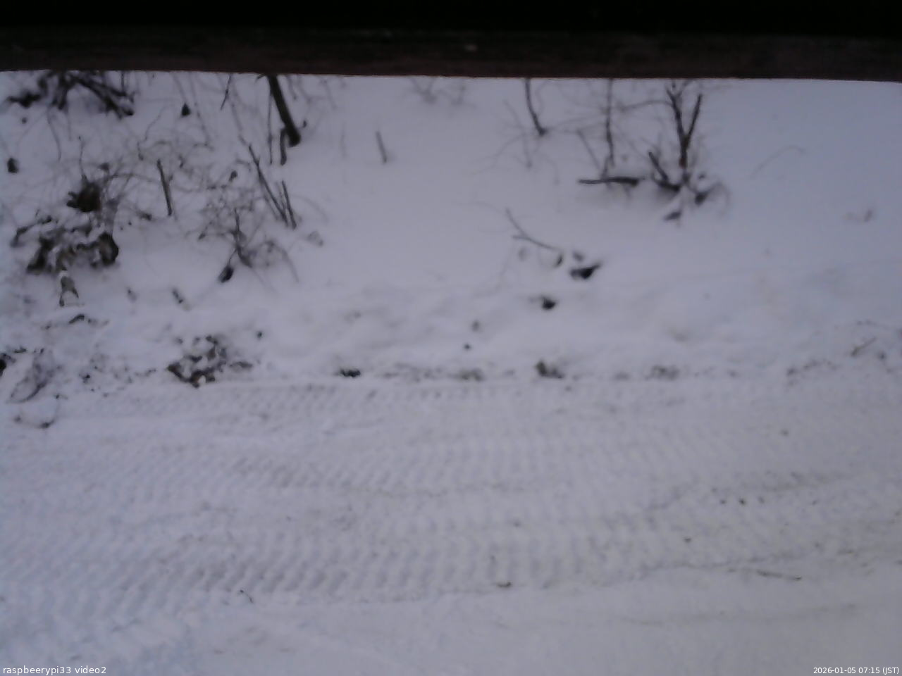 長野県菅平高原 ゆたか山荘 南側 2026/01/05 07:15