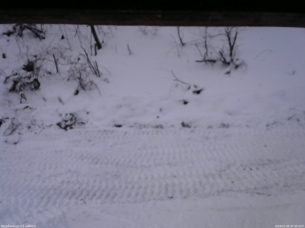 長野県菅平高原 ゆたか山荘 南側 2026/01/05 07:30
